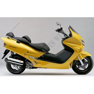 250 FORZA 2003 NSS250C3