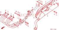 SILENCIADOR DE ESCAPE (CB600F2/F22) para Honda CB 600 F HORNET 34HP 2002