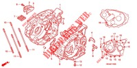 CARTER DE MOTOR/BOMBA DE ACEITE para Honda SPORTRAX 300 EX standard 2001
