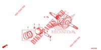 CIGUENAL/PISTON para Honda PCX 125 2020