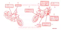 ETIQUETA DE PRECAUCION para Honda VTX 1300 C 2006