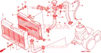 RADIADOR para Honda NSR 125 R 2001