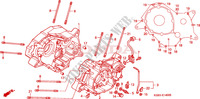 CARTER DE MOTOR para Honda SHADOW 125 2000