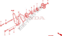 BOMBA DE AGUA para Honda CRF 250 X 2011