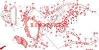RADIADOR  para Honda CBR 1000 RR FIREBLADE REPSOL 2007