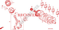 CIGUENAL/PISTON para Honda CBR 600 RR GRAY ORANGE 2011