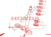 VASTAGO DE DIRECCION para Honda CBF 600 FAIRING ABS 34HP 2010