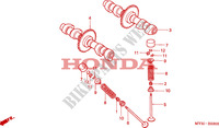 ARBOL DE LEVAS/VALVULA para Honda CB 500 50HP 2002