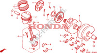 CIGUENAL/PISTON para Honda CB 500 S 34HP 2002