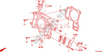 CILINDRO/VALVULA DE LAMINAS para Honda REFLEX 250 SPORT 2008