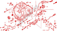 CUBIERTA CARTER TRASERO para Honda TRX 250 FOURTRAX RECON Standard 2008