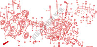 CARTER DE MOTOR para Honda TRX 450 R SPORTRAX Electric Start 2010