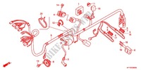 CONJUNTO DE ALAMBRES (1) para Honda ACE 125 CASTED WHEELS 2012