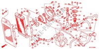 RADIADOR (VT750C2B/C2S/CS/C/CA) para Honda SHADOW VT 750 BLACK 2012