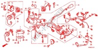 CONJUNTO DE ALAMBRES (WW125EX2C/EX2D/D) para Honda PCX 125 SPECIAL EDITION 2012