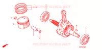 CIGUENAL/PISTON para Honda XRE 300 3LA 2011
