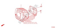 CILINDRO para Honda CRF 110 2013