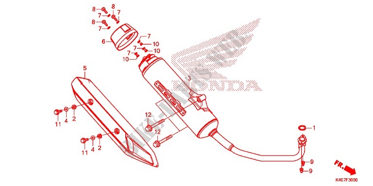 SILENCIADOR DE ESCAPE(2) para Honda FORZA 125 ABS 2015