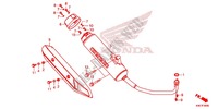 SILENCIADOR DE ESCAPE(2) para Honda FORZA 125 2015