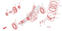 CIGUENAL/PISTON para Honda FOURTRAX 420 RANCHER 4X4 Manual Shift RED 2010