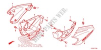 LIMPIADOR DE AIRE/CUBIERTA LATERAL para Honda CBF 125 2012