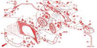 RADIADOR para Honda CROSSTOURER 1200 ABS RED 2016
