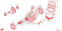 CIGUENAL/PISTON para Honda FOURTRAX 500 FOREMAN RUBICON EPS RED 2016