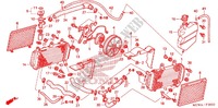 RADIADOR para Honda VFR 800 INTERCEPTOR ABS 2007