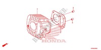 CILINDRO para Honda CRF 110 2013