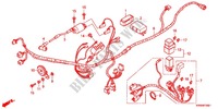 CONJUNTO DE ALAMBRES (AFP110MCSB/C/D) para Honda WAVE DASH 110 S, Electric start, rear brake drum 2013