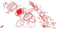 FILTRO DEL AIRE (AFS125MSD/MCSD,E/MCRD,E) para Honda FUTURE 125 Casted wheels, Rear brake drum 2012