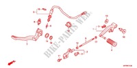 SOPORTE PRINCIPAL/PEDAL DE FRENO para Honda CB 1300 SUPER BOL DOR ABS 2012