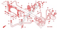RADIADOR (CBR900RR'00,'01/RE'01) para Honda CBR 900 RR 2000