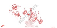 CIGUENAL/PISTON para Honda CRF 230 F 2014