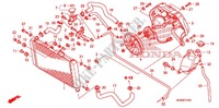 RADIADOR para Honda CBF 600 FAIRING ABS 2010