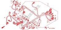 CONJUNTO DE ALAMBRES (AVANT) para Honda RVT 1000 R RC51 2002