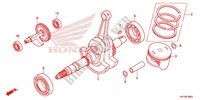 CIGUENAL/PISTON para Honda FOURTRAX 420 RANCHER 4X4 AT 2012