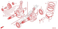 CIGUENAL/PISTON para Honda FOURTRAX 420 RANCHER 4X4 Manual Shift CAMO 2014