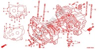 CARTER DE MOTOR/BOMBA DE ACEITE para Honda FOURTRAX 500 FOREMAN RUBICON Hydrostatic 2009