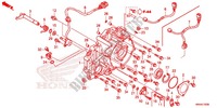 CUBIERTA CARTER TRASERO para Honda FOURTRAX 500 FOREMAN 4X4 Electric Shift, Power Steering 2016